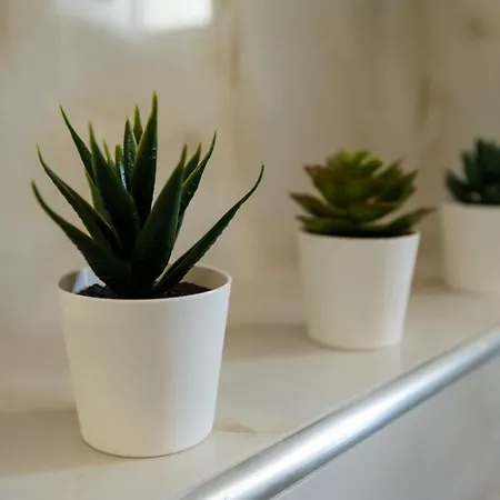 Olive 201 Appartement *