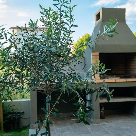 Olive 201 Apartment *