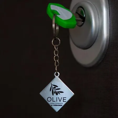 Olive 201 Apartment *